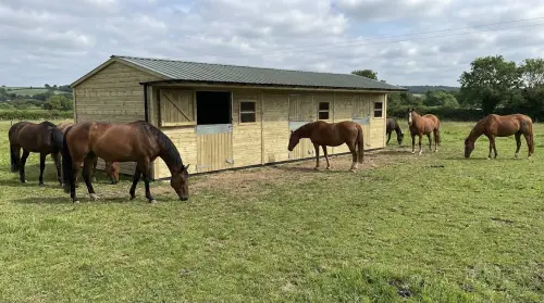 Alpha Timber UK Timber Stable Buildings